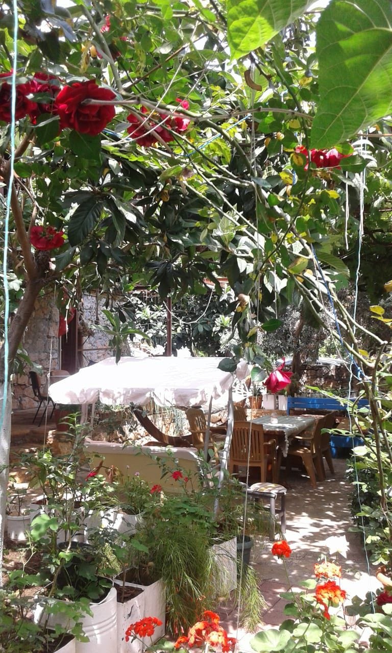 Un jardín con plantas en macetas y una mesa con sillas.