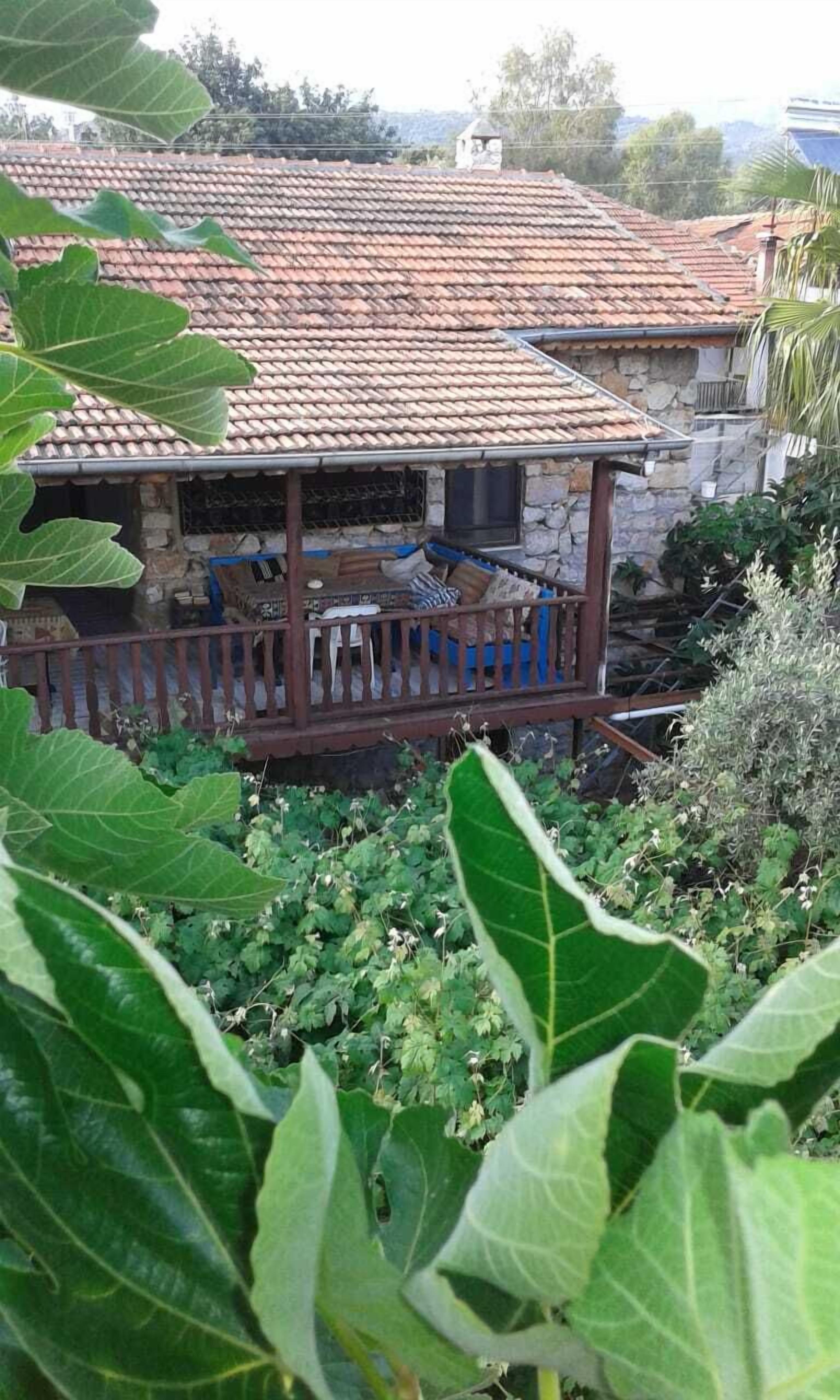 Giardino