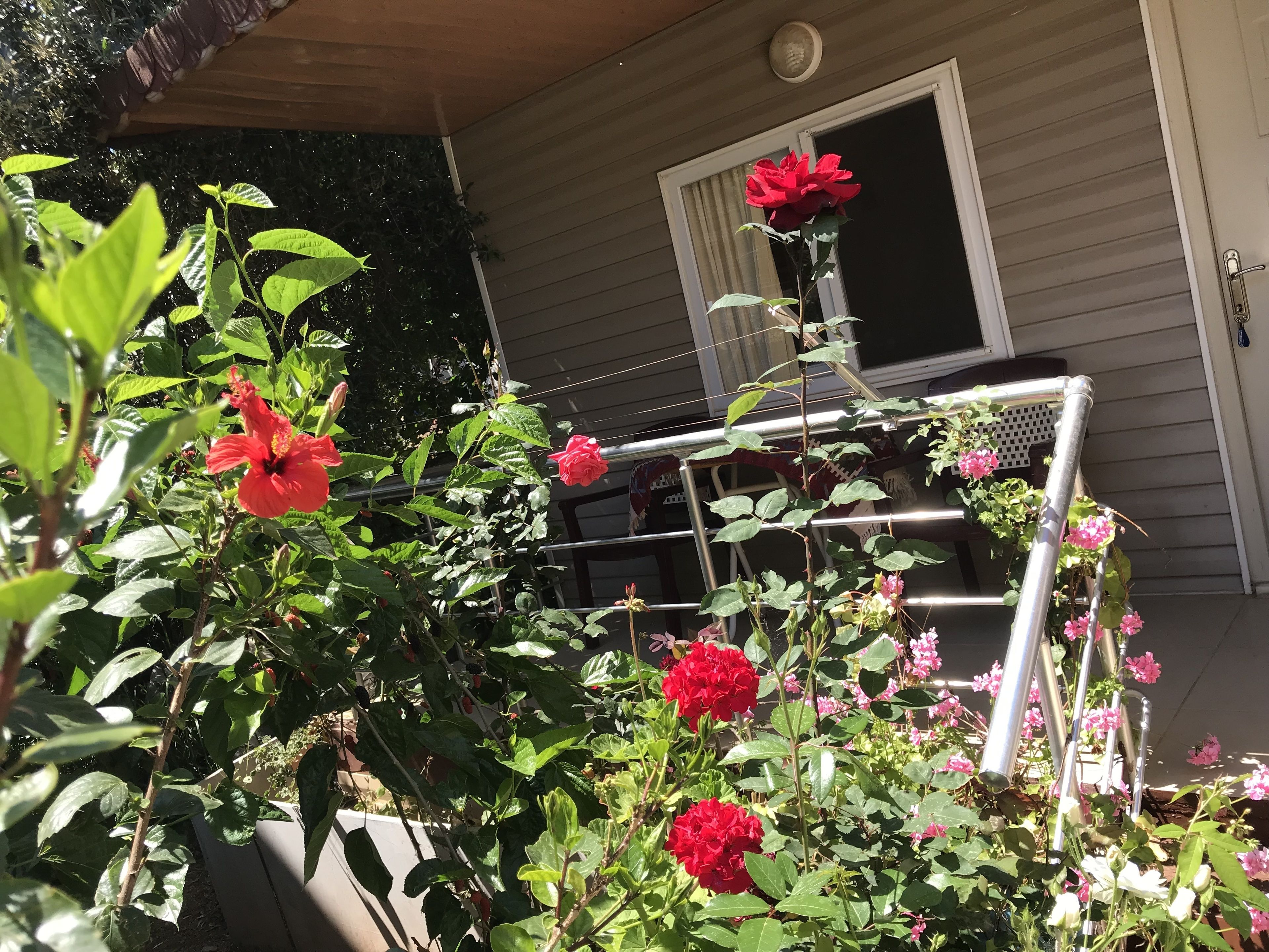 标准双人房 | 客房内保险箱、办公桌、遮光窗帘、隔音