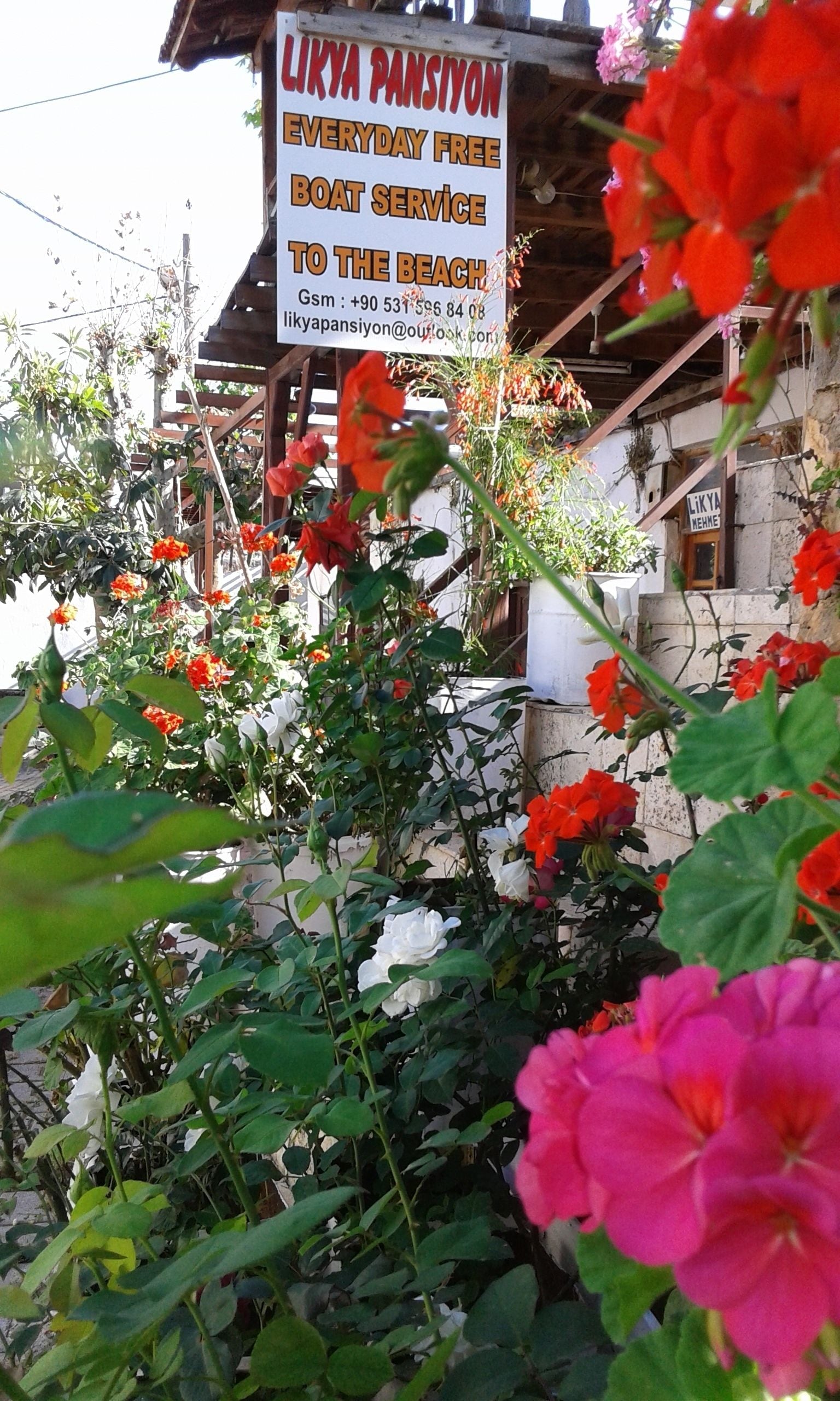 Un cartello pubblicitario che annuncia un servizio di navetta gratuito per la spiaggia, una struttura in legno e fiori in fiore.