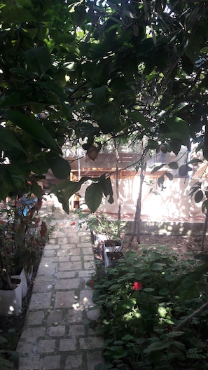 Jardim