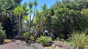 Property grounds - Superb ground floor villa renovated on the top of Hyères 6 minutes from the beaches (Hyères)