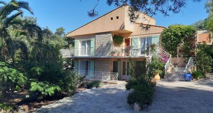 Superb ground floor villa renovated on the top of Hyères 6 minutes from the beaches