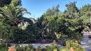 A lush garden with various plants and trees, a paved pathway, and outdoor seating.
