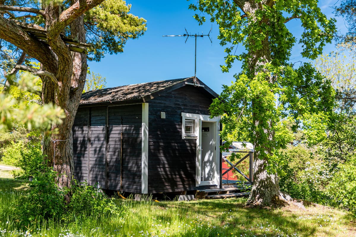 Uma pequena cabana de madeira escura com porta branca e chaminé, rodeada por vegetação densa e árvores.