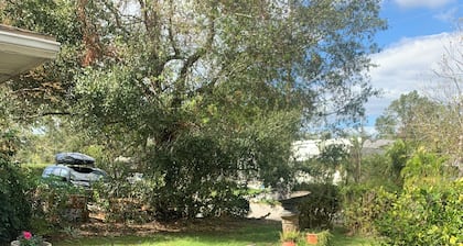 Cozy 2 Bed, 1 Bath cottage close to Downtown Sarasota and the Beaches