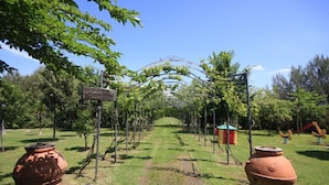 Jardin