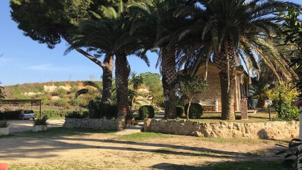 A property with a stone wall, palm trees, and a building with a sloped roof. - Agriturismo Il Poderino (Tarquinia)