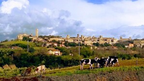 A rural landscape with a small town in the background, a field with grazing cows, and a prominent church tower. - Agriturismo Il Poderino (Tarquinia)