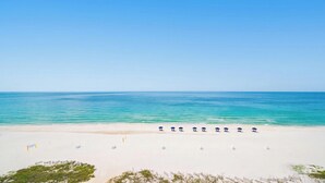 A beach with a row of umbrellas and lounge chairs, a sandy shore, and a clear blue ocean. - One bedroom…Phoenix V…Gulf Front Condo #1214 (Orange Beach)