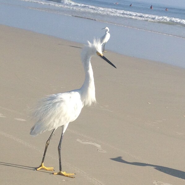 En la playa 