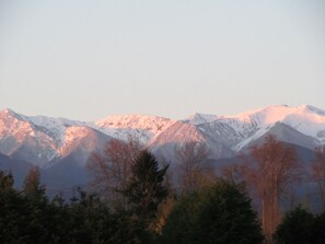 A mountain range with snow-covered peaks and a foreground of trees. - (SEQUIM)