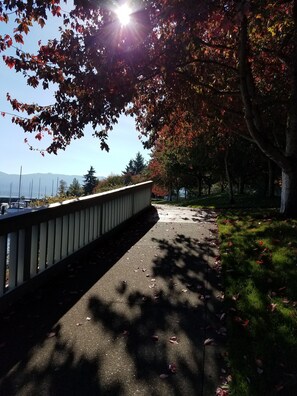 Terrain de l’hébergement 