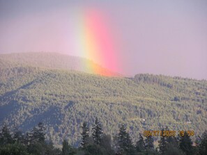 A forested hillside with a visible rainbow. - (SEQUIM)
