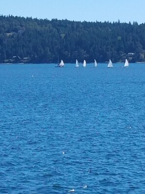 A calm body of water with sailboats and a forested shoreline. - (SEQUIM)