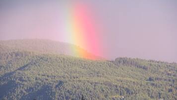 A forested hillside with a visible rainbow.