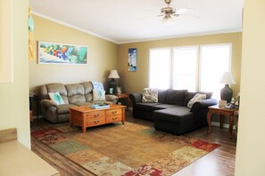 Älytelevisio, kirjoja