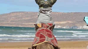 A person performing a handstand on a camel's back on a beach with a mountainous backdrop.
