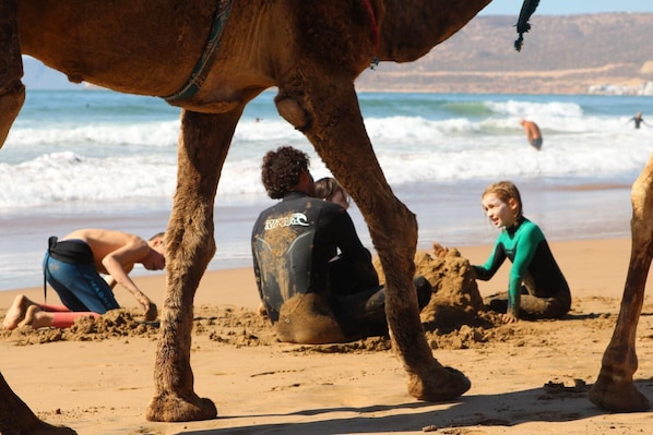 Perto da praia