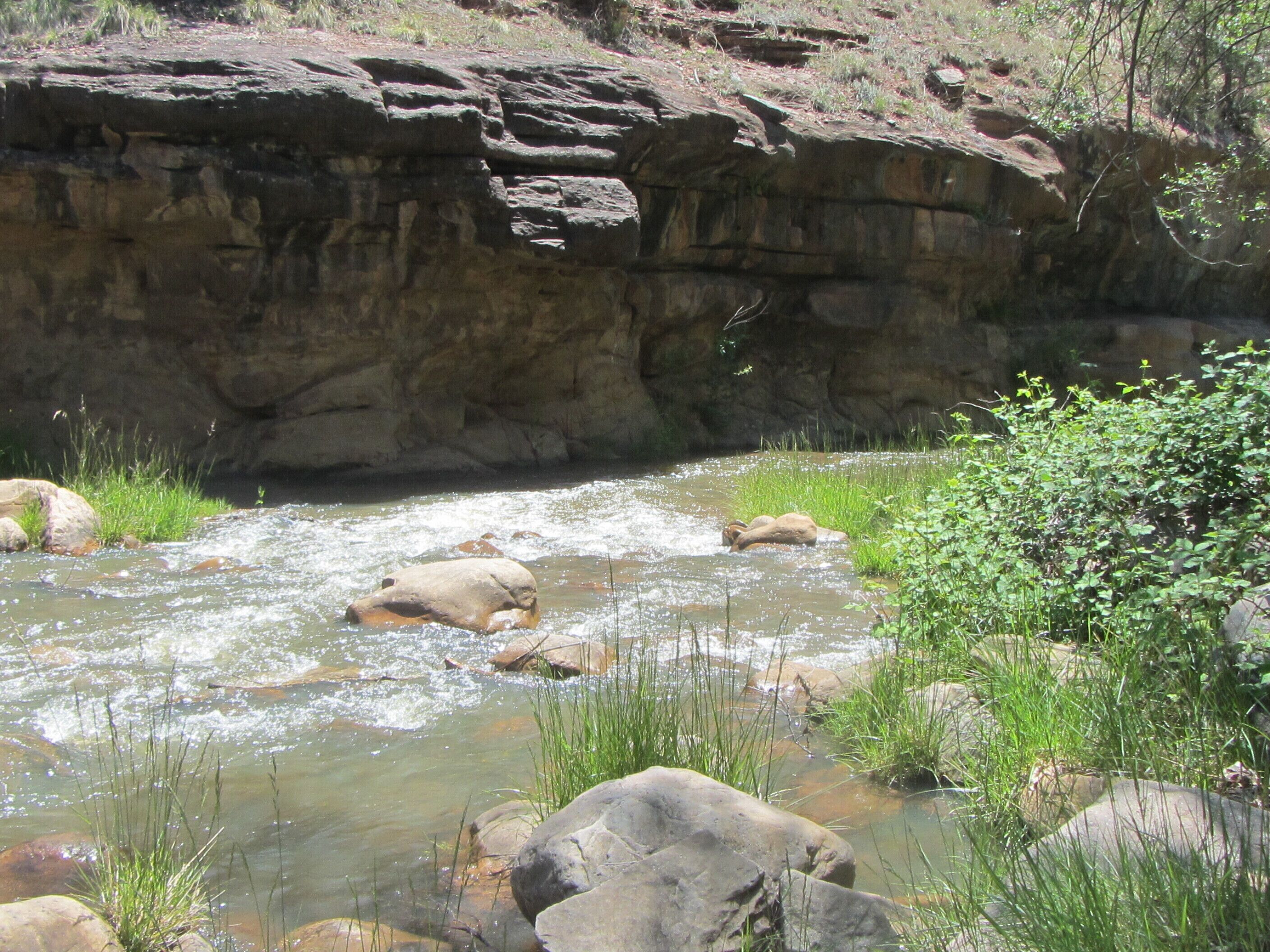Un arroyo natural con rocas y vegetación.