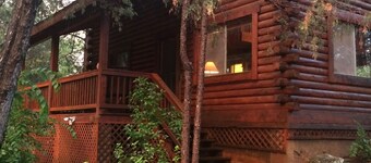 Cozy streamfront cabin nestled in the pines