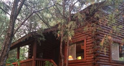 Cozy streamfront cabin nestled in the pines