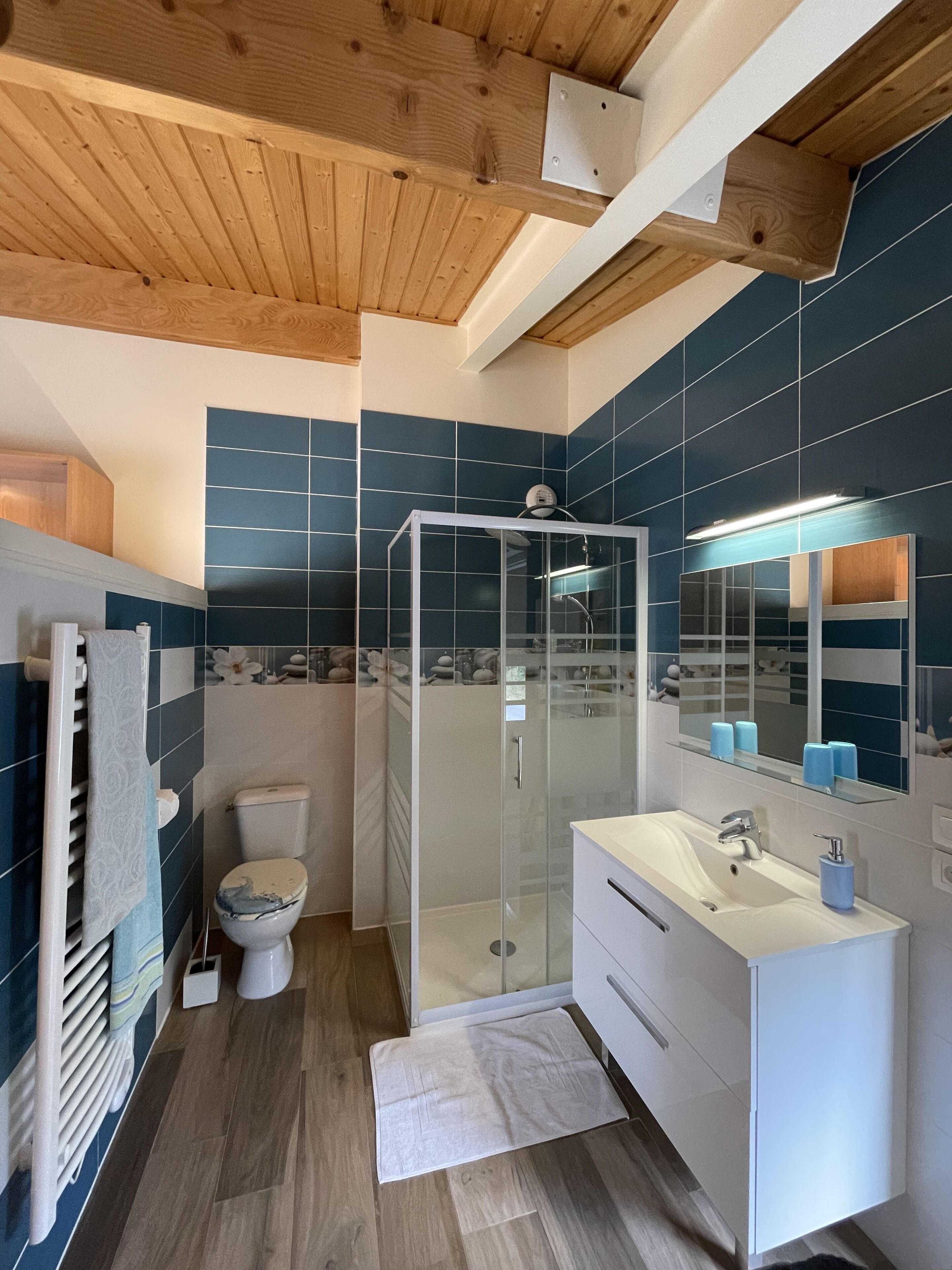 Une salle de bain moderne équipée d’une douche, de toilettes et d’un meuble-lavabo.