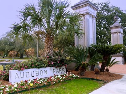 Classic Uptown Shotgun, Just Steps to the Streetcar !