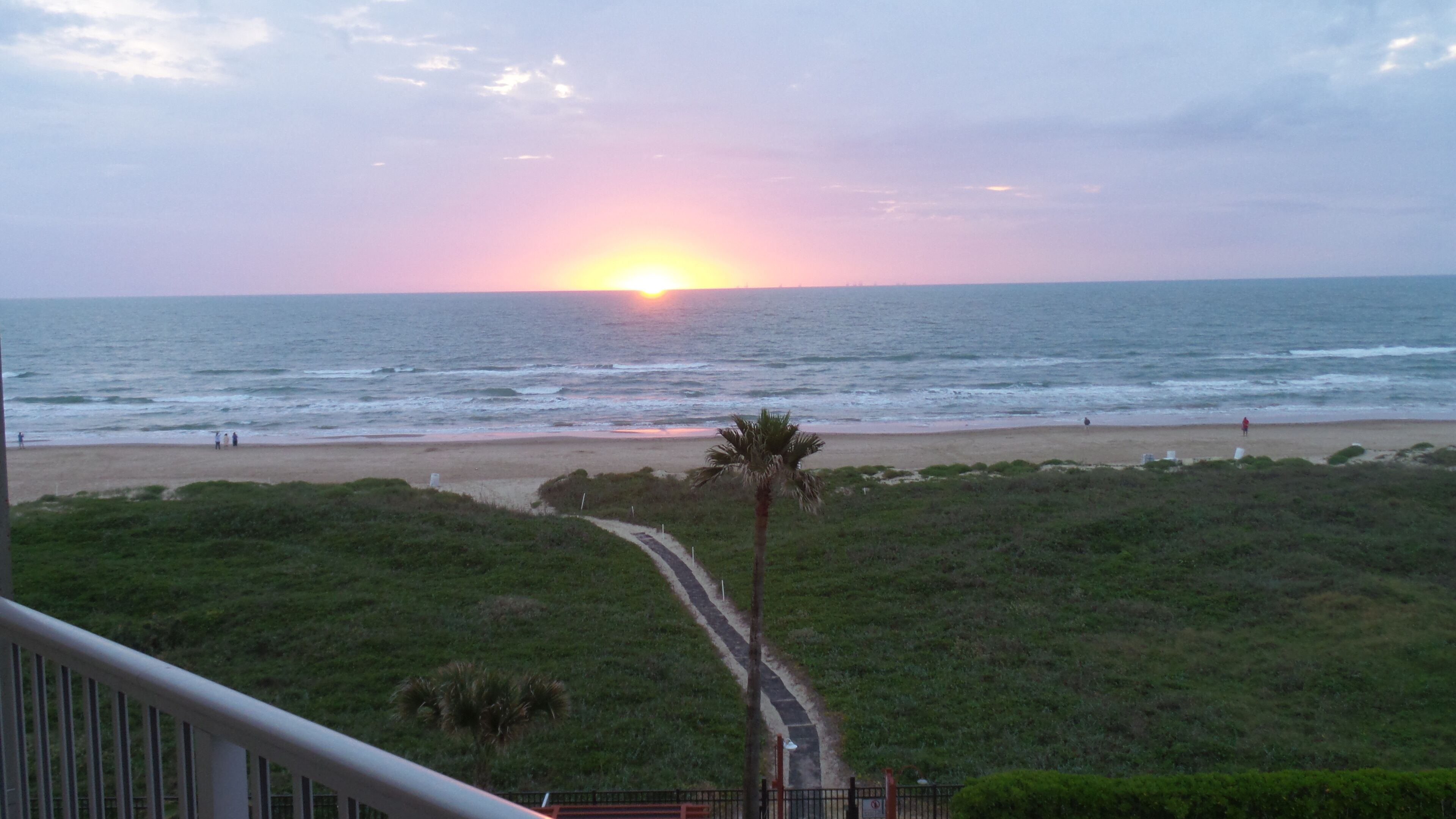 A sunset over a beach with a path leading to the water, palm trees, and a fence.