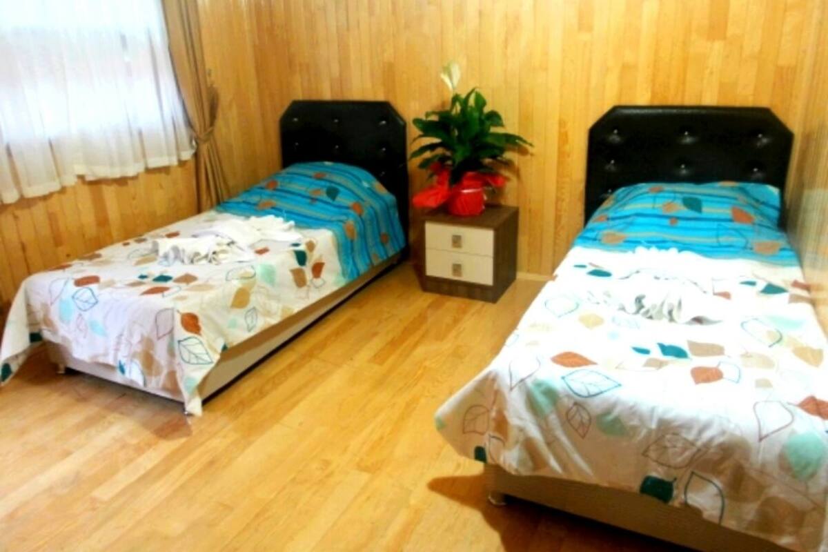 Two single beds with patterned bedding, a small wooden nightstand with a plant, and a wooden floor.