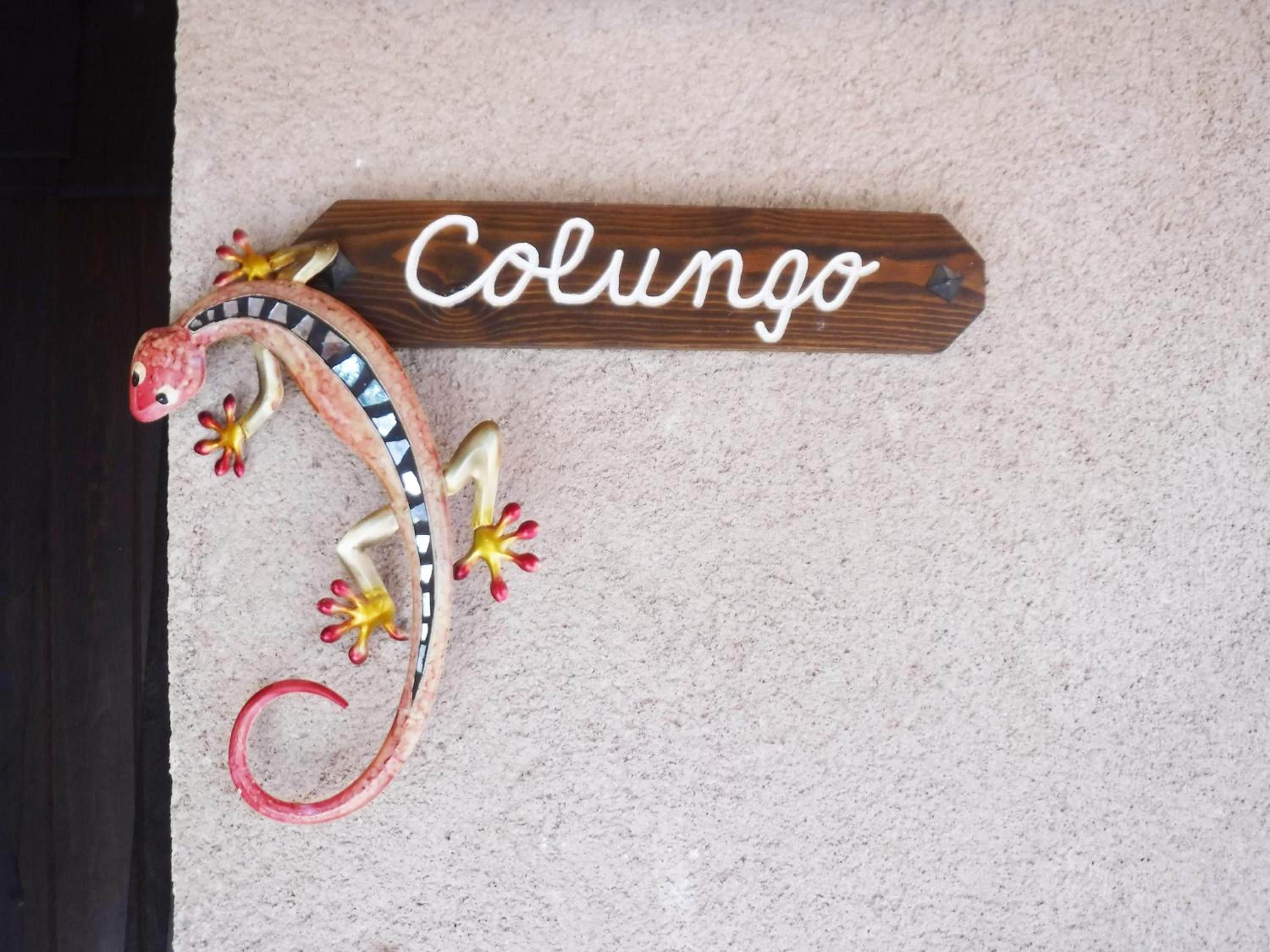Un letrero de madera con el nombre 'Colungo' y una escultura decorativa de un lagarto.