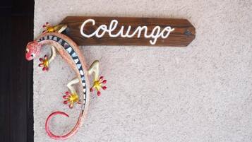 Un letrero de madera con el nombre 'Colungo' y una escultura decorativa de un lagarto.