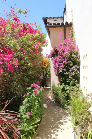 A narrow pathway flanked by lush greenery and vibrant pink bougainvillea flowers, leading to a building with a tiled roof and white walls.
