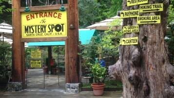 Área da propriedade