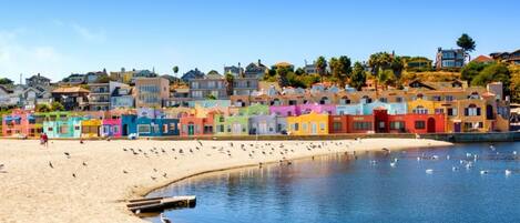 Plage à proximité, chaises longues, serviettes de plage