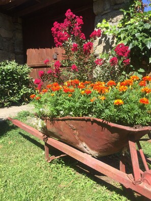 Garden - Agios Germanos Traditional Hotel (Prespes)
