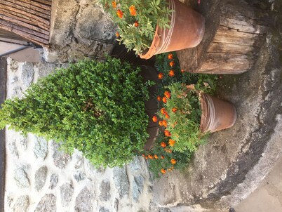 Agios Germanos Traditional Hotel