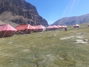 Property grounds - Himalayan Routes Camp (Lahul)