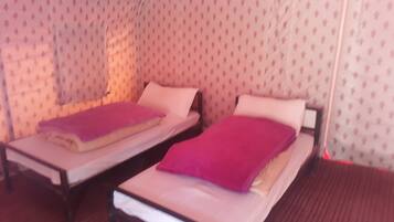 Basic Double or Twin Room, 2 Single Beds | Rollaway beds