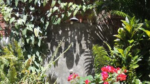 A garden with various plants and flowers, a brick wall, and a white object on top. - Nossa Casa em Jeri (Jijoca de Jericoacoara)