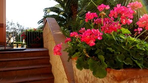 Exterior detail - Residence Orchidea (Pietra Ligure)