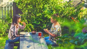 Garden view - Compass del Sur - Hostel (Puerto Varas)