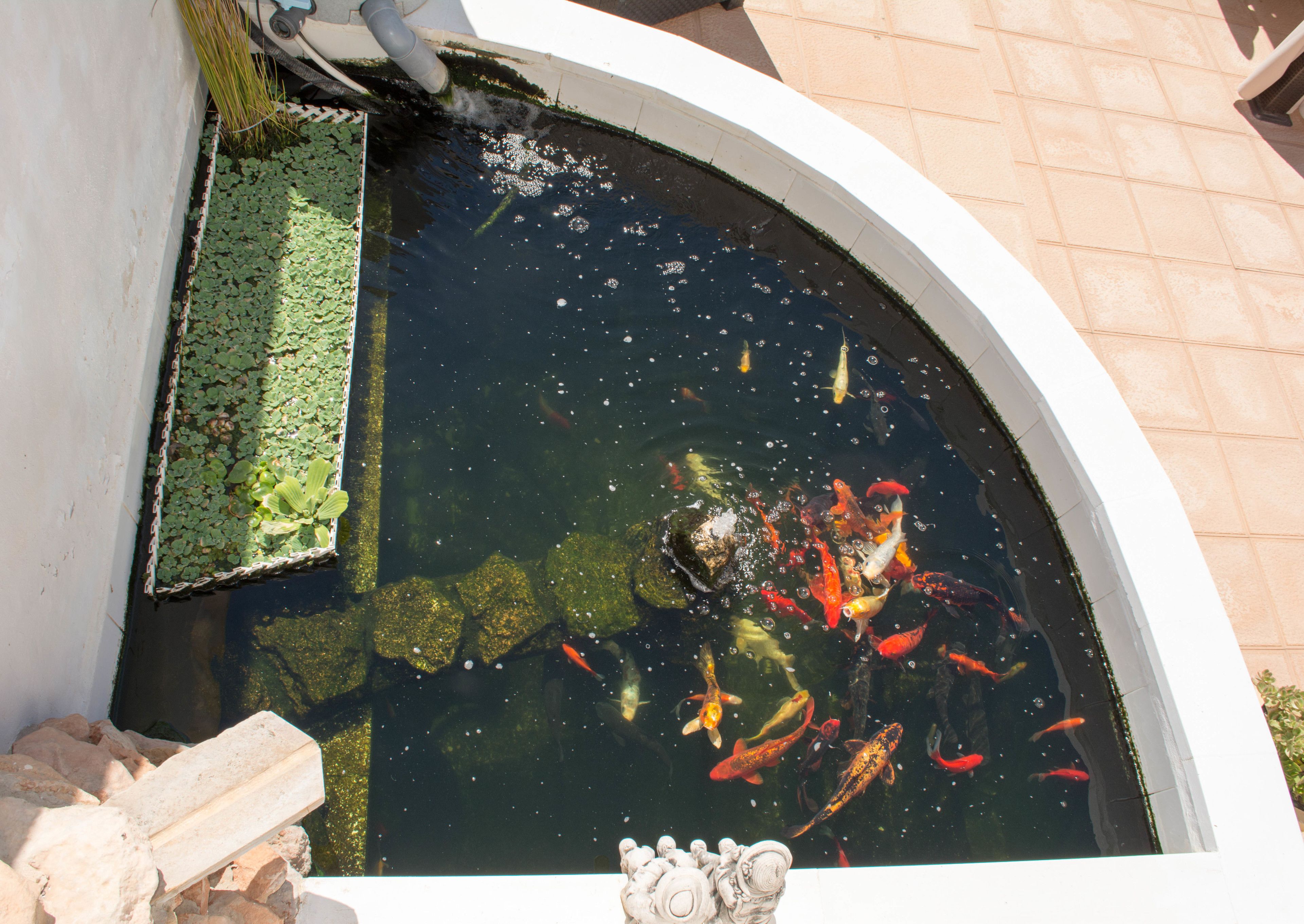 Foto - Casa Lanjaron