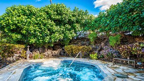 A hot tub surrounded by lush greenery and a stone pathway. - 2BR ocean and sunset views in Mauna Lani point (Kamuela)