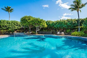Pool - 2BR ocean and sunset views in Mauna Lani point (Kamuela)