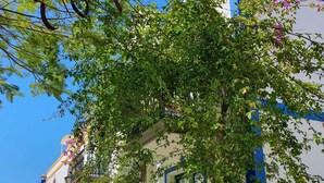 Een rij witte gebouwen met blauwe details en balkons, omgeven door weelderige begroeiing en bloeiende planten.