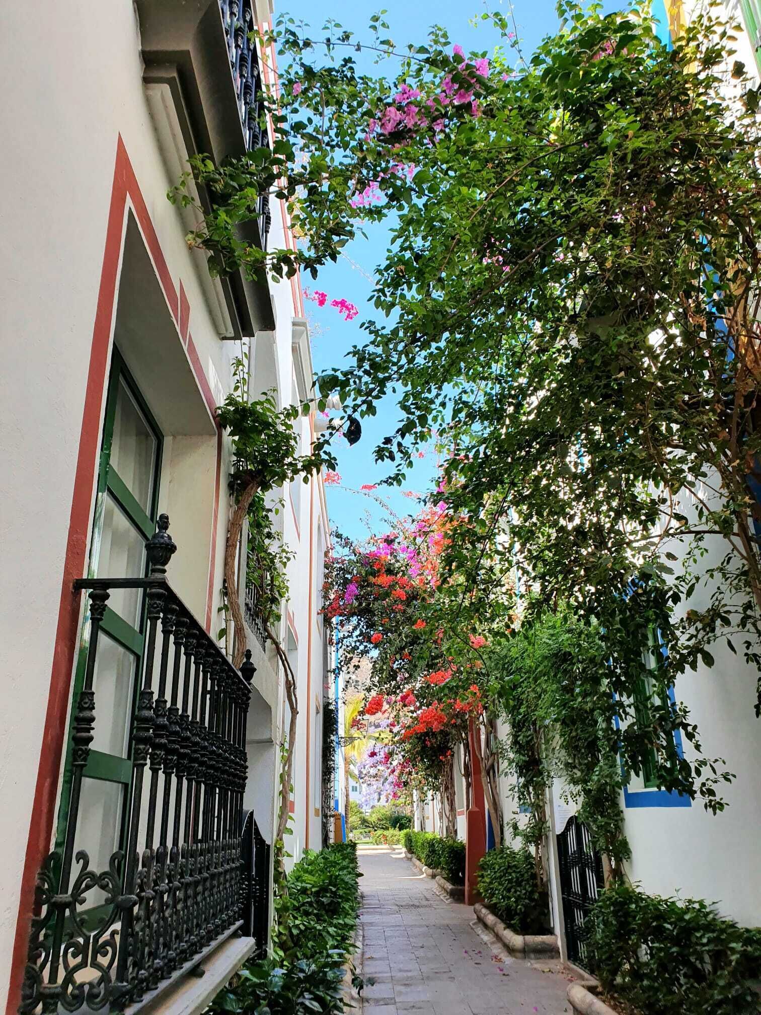 A narrow alleyway with buildings on either side, featuring balconies with wrought iron railings and lush greenery.
