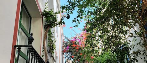 Un estrecho callejón flanqueado por edificios, con balcones de rejas de hierro y abundante vegetación.
