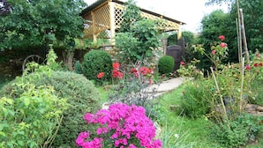 A garden with a wooden pergola, various shrubs, and flowering plants.