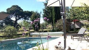 A poolside area with a pergola, lounge chairs, and a potted plant.
